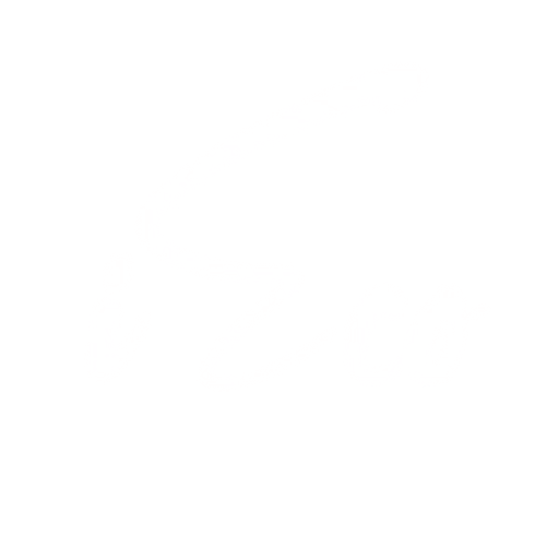 iEco store
